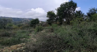 Land for Sale Ain Kfaa Jbeil Area 1070Sqm