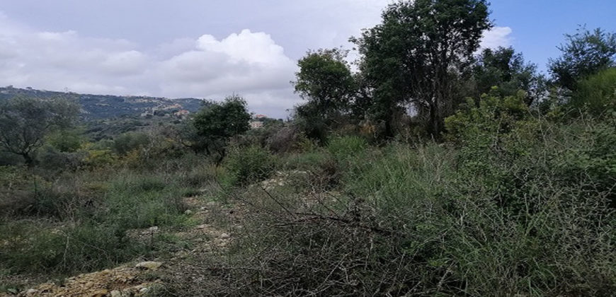 Land for Sale Ain Kfaa Jbeil Area 1070Sqm