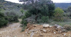 Land for Sale Ain Kfaa Jbeil Area 1070Sqm