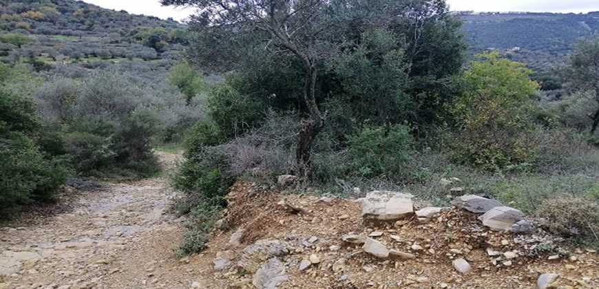 Land for Sale Ain Kfaa Jbeil Area 1070Sqm