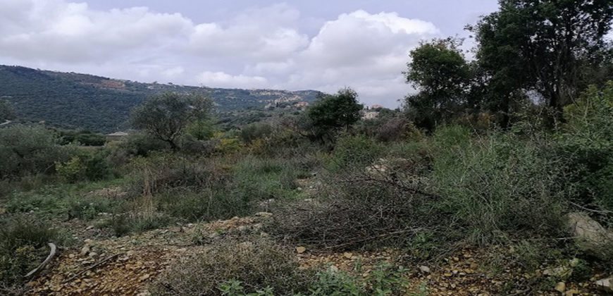 Land for Sale Ain Kfaa Jbeil Area 1070Sqm