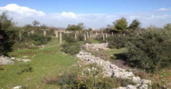 Land for Sale Sourat Batroun Area 20835Sqm