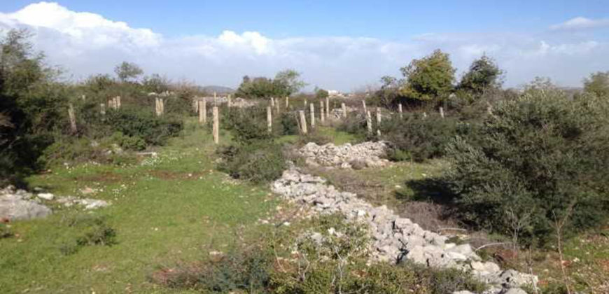 Land for Sale Sourat Batroun Area 20835Sqm