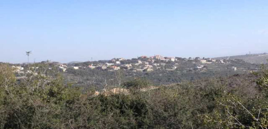 Land for Sale Sourat Batroun Area 20835Sqm