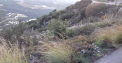 Land for Sale Tourzaiyya Jbeil Area 10500Sqm