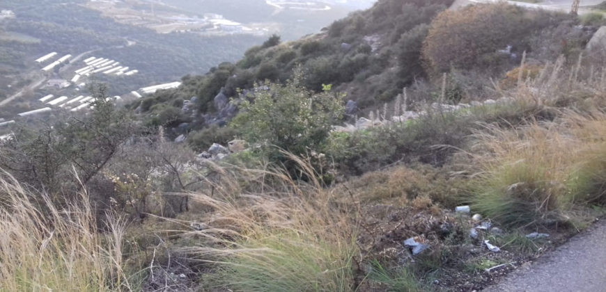Land for Sale Tourzaiyya Jbeil Area 10500Sqm