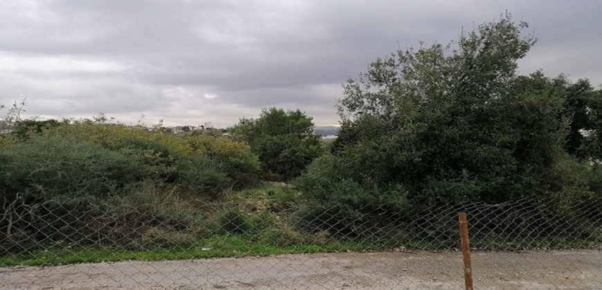 Land for Sale Hbaline Area 2825Sqm