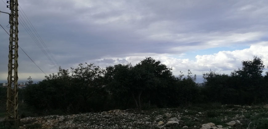 Land for Sale Hbaline Area 2825Sqm