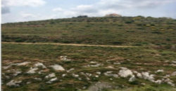 Land for Sale Ram Batroun Area 4150Sqm