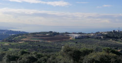 Land for Sale Gharzouz Jbeil Area 1570Sqm