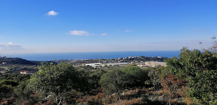 Land for Sale Gharzouz Jbeil Area 1570Sqm
