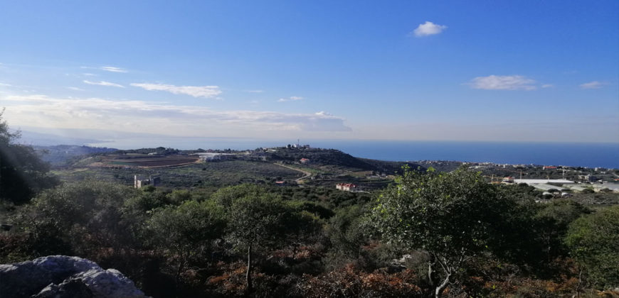 Land for Sale Gharzouz Jbeil Area 1570Sqm
