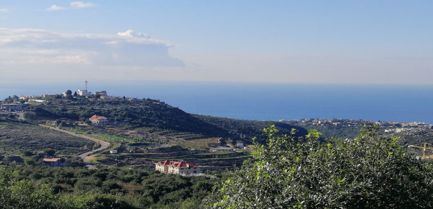 Land for Sale Gharzouz Jbeil Area 1570Sqm