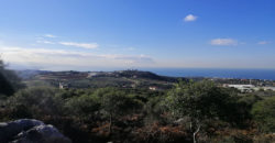 Land for Sale Gharzouz Jbeil Area 1567Sqm
