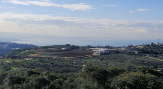 Land for Sale Gharzouz Jbeil Area 1601Sqm