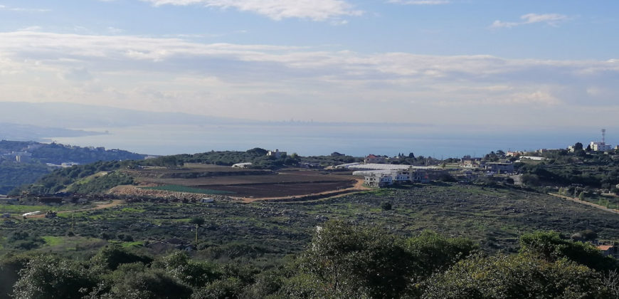 Land for Sale Gharzouz Jbeil Area 1601Sqm