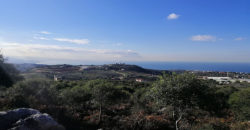 Land for Sale Gharzouz Jbeil 1241Sqm