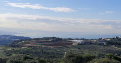 Land for Sale Gharzouz Jbeil 1241Sqm