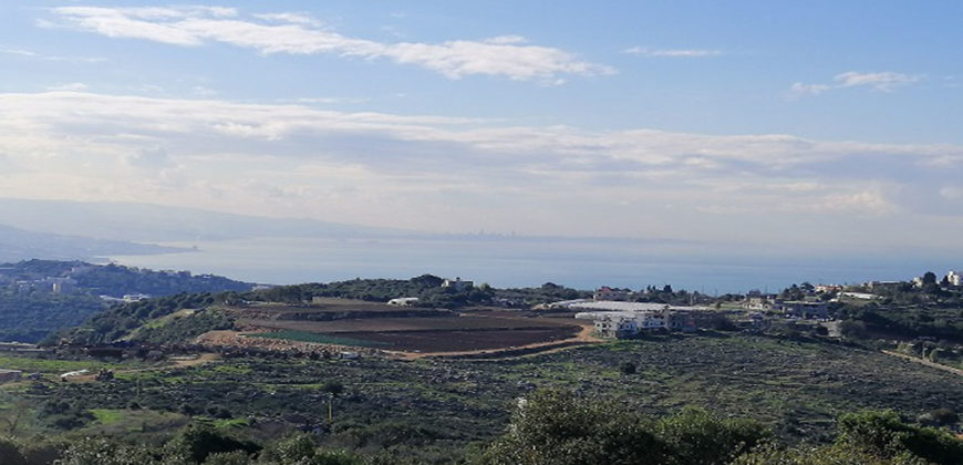Land for Sale Gharzouz Jbeil Area 911Sqm