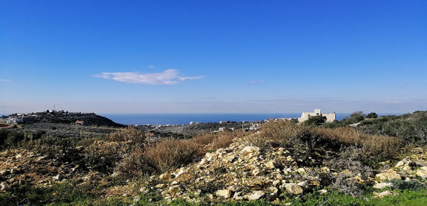Land for Sale Gharzouz Jbeil Area 2145Sqm