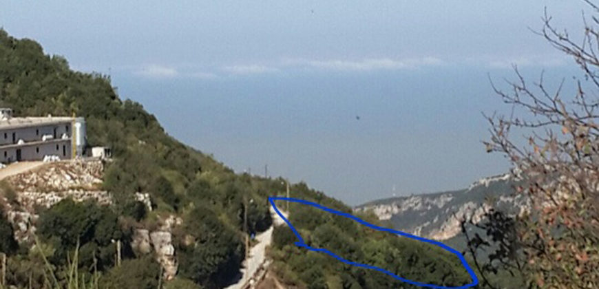 Land for Sale Hjoula Jbeil Area 1153Sqm