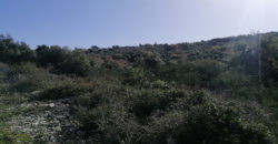 Land for Sale Bejjeh Jbeil Area 3355Sqm