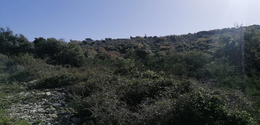 Land for Sale Bejjeh Jbeil Area 3355Sqm