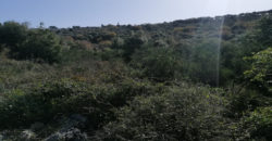 Land for Sale Bejjeh Jbeil Area 3355Sqm