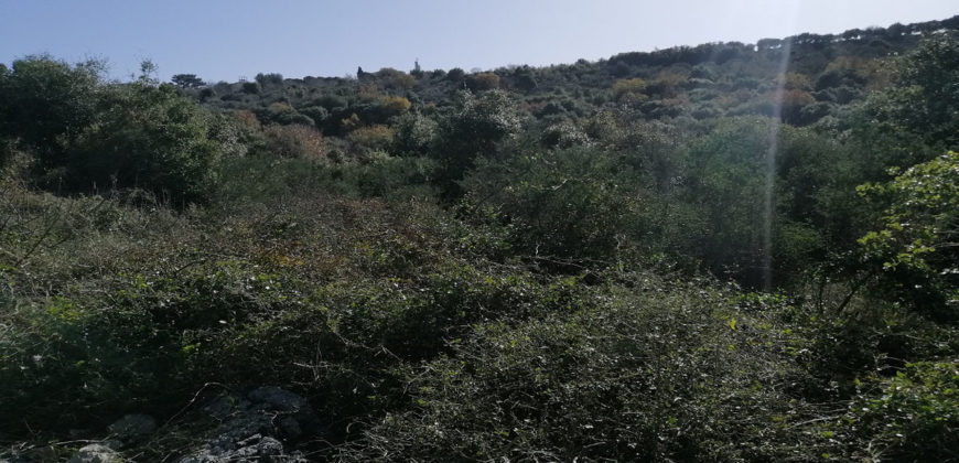 Land for Sale Bejjeh Jbeil Area 3355Sqm