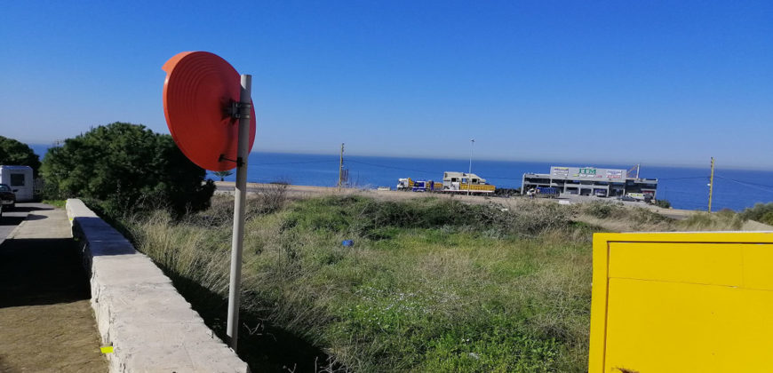 Land for Sale Berbara Jbeil Area 1496Sqm