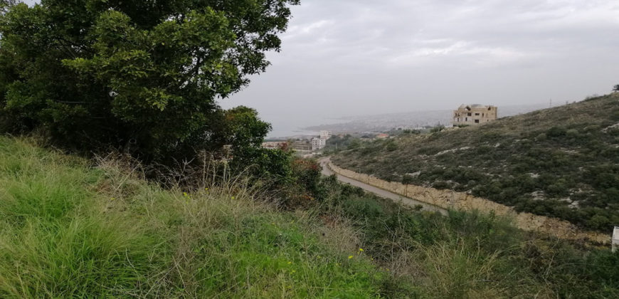 Land for Sale Fidar ( Halat ) Jbeil Area 1004Sqm