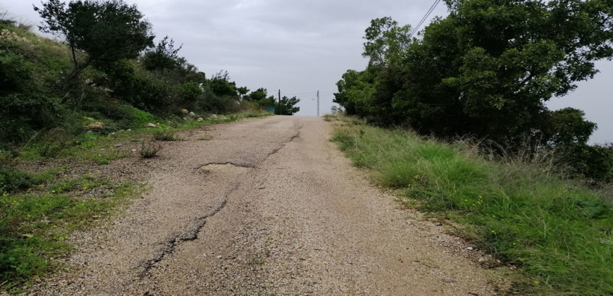Land for Sale Fidar ( Halat ) Jbeil Area 1004Sqm