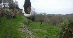 Land for Sale Boqsmaiyya Batroun Area 1211Sqm