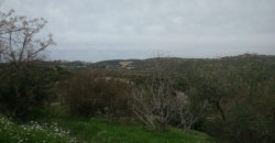 Land for Sale Boqsmaiyya Batroun Area 1211Sqm