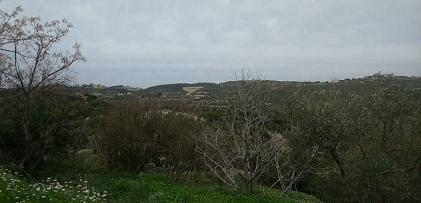 Land for Sale Boqsmaiyya Batroun Area 1211Sqm