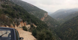 Land for Sale Ghalboun Jbeil Area 1280Sqm