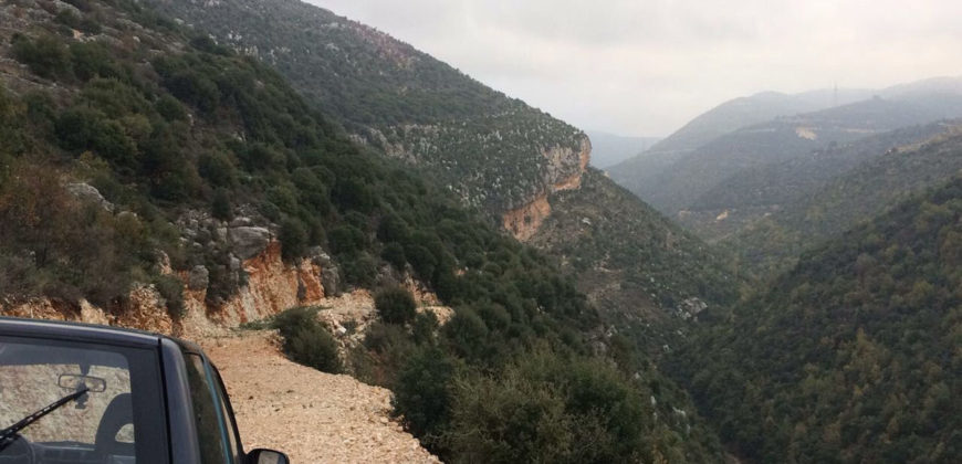 Land for Sale Ghalboun Jbeil Area 1280Sqm