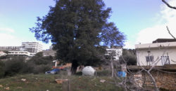 Land for Sale Aannaya – Kfar Baal Area 860Sqm