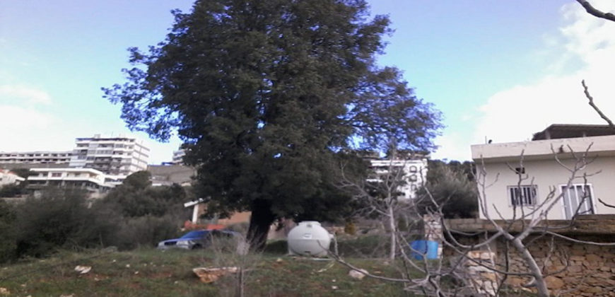 Land for Sale Aannaya – Kfar Baal Area 860Sqm