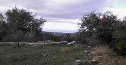 Land for Sale Aannaya – Kfar Baal Area 860Sqm
