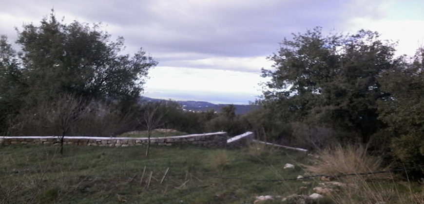 Land for Sale Aannaya – Kfar Baal Area 860Sqm