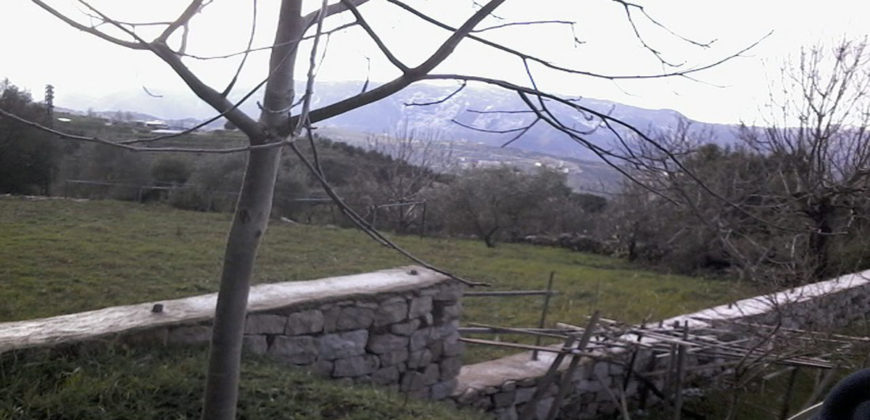 Land for Sale Aannaya – Kfar Baal Area 860Sqm