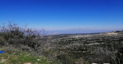 Land for Sale Hadtoun Batroun Area 742Sqm