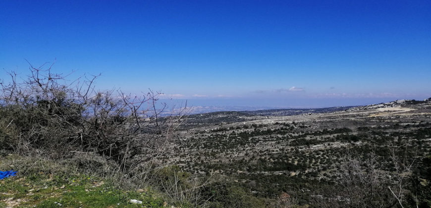 Land for Sale Hadtoun Batroun Area 742Sqm