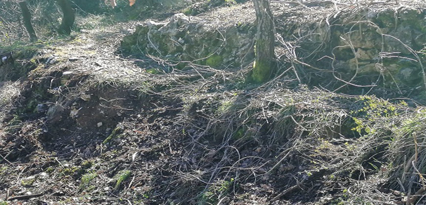 Land for Sale Hadtoun Batroun Area 742Sqm