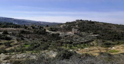 Land for Sale Racha Batroun Area 2793Sqm