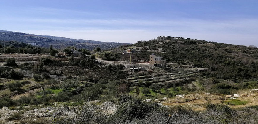 Land for Sale Racha Batroun Area 2793Sqm