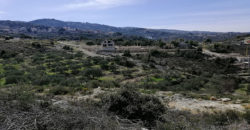 Land for Sale Racha Batroun Area 2793Sqm