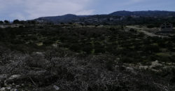 Land for Sale Racha Batroun Area 2793Sqm