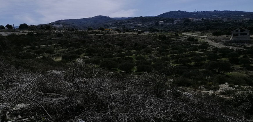 Land for Sale Racha Batroun Area 2793Sqm